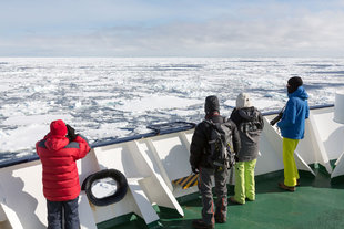 On the lookout in the Ross Sea