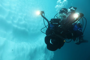 Diving next to Iceberg Antarctica