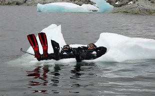 Diver in Antarctica