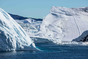 Glaciers and Icebergs of the Canadian High Arctic