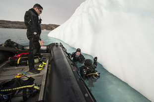 Divers by Iceberg in Greenland, Andrew Davies