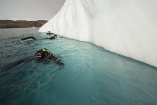 East Greenland Diving, Andy Davies