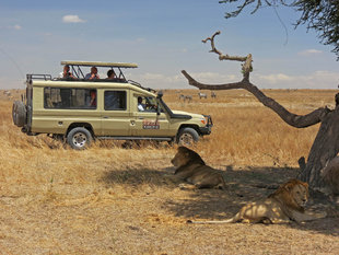 Aqua-Firma on Safari in Serengeti National Park