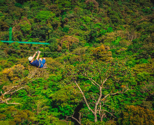 Ziplining Tour in Monteverde Cloud Forest