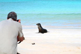 Sea-lion-photography-galapagos.jpg