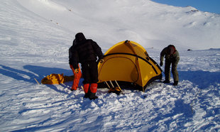 camping-antarctica-adventure-wildlife-marine-life-polar-cruise-voyage-holiday.jpg