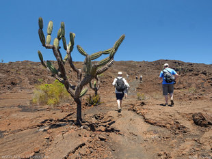 Trekking from Cerro Chico - a parasitic cone on the Sierra Negra Volcano, Isabela Island, Galapagos