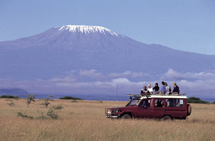 On Safari in Amboseli National Park in the shadow of Mountain Kilimanjaro