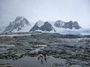 Antarctic-peninsula-landscape-voyage-wildlife-wilderness-polar-expedition-cruise-Philip-Lillywhite.JPG